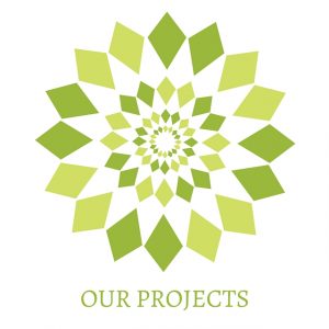 Our-Projects-300x300.jpg